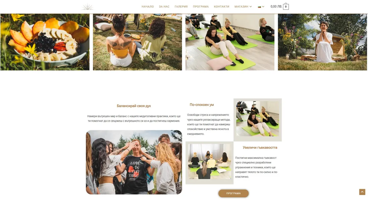 Project screenshot 19