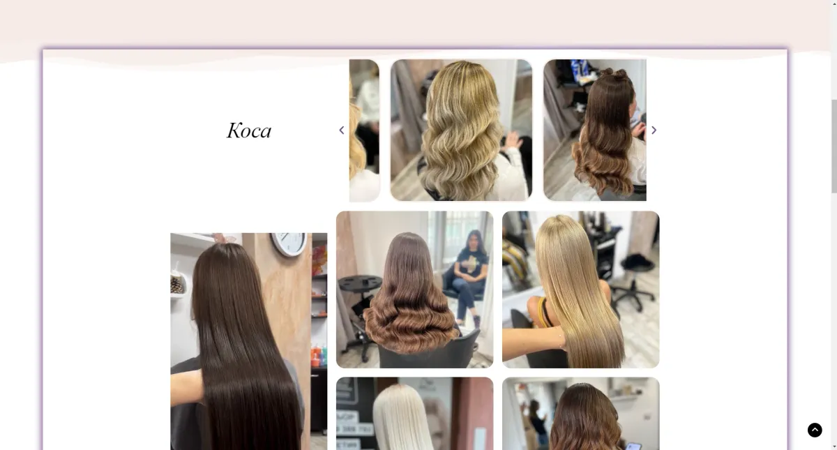 Project screenshot 2